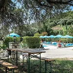 Anemona E * קאטליוס