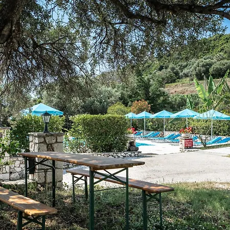 Anemona E * Kateliósz